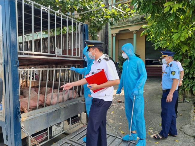 Tăng cường kiểm tra, phát hiện và xử lý vi phạm về an toàn thực phẩm những tháng cuối năm (26/9/2024)